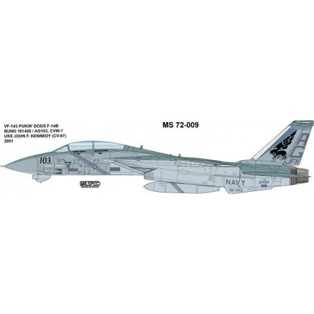  Calcomanía Grumman F-14B Tomcat VF-143 'Pukin' Dogs 2001